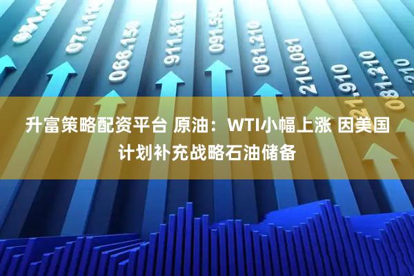 升富策略配资平台 原油：WTI小幅上涨 因美国计划补充战略石油储备