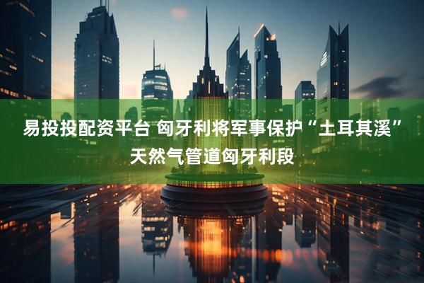易投投配资平台 匈牙利将军事保护“土耳其溪”天然气管道匈牙利段